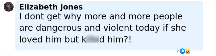Comment from Elizabeth Jones questioning violence after woman who slew boyfriend found a tampon, expressing disbelief and concern.