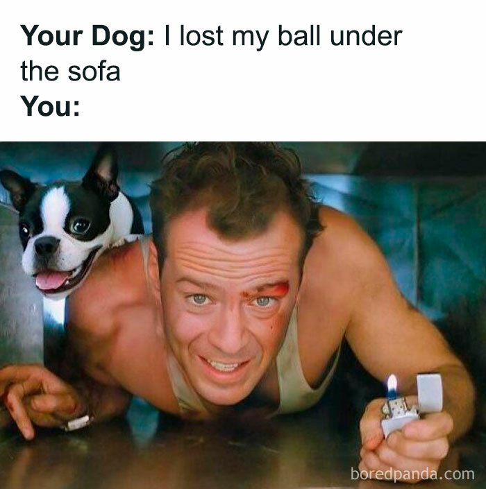 Man and dog searching under sofa with lighter, illustrating relatable doggo memes about lost ball in wholesome pupper content.