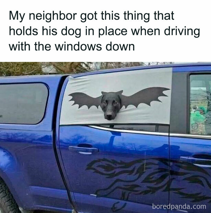 Doggo meme showing a dog head poking through a car window cover with bat wings design on blue truck.