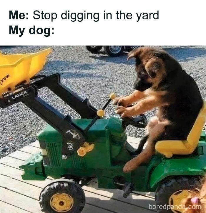 Puppy sitting on a toy excavator, humorously pretending to dig, showcasing cute doggo memes content.