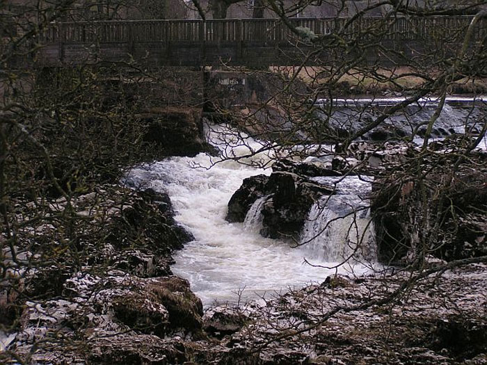 Rushing water flowing under an old wooden bridge surrounded by leafless trees in one of the scariest places around the world.