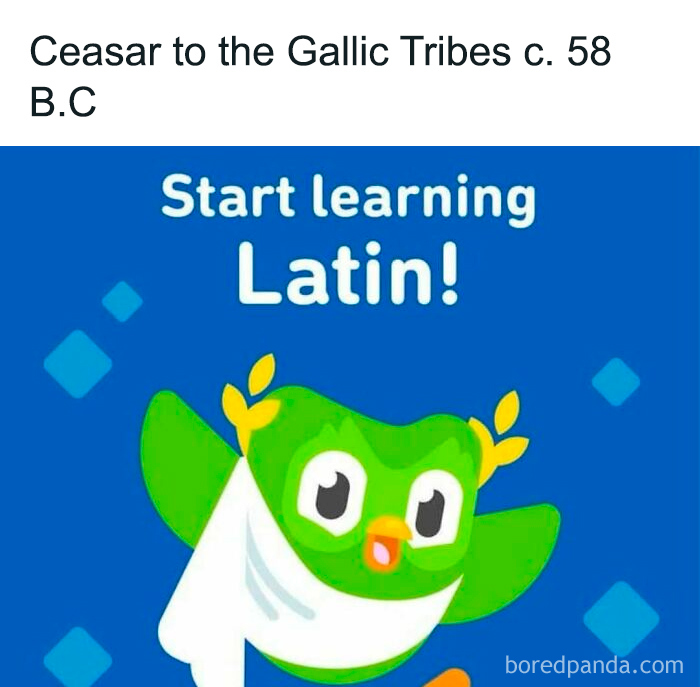 Cartoon owl in a toga with Latin text encouraging language learning for history memes about the past.