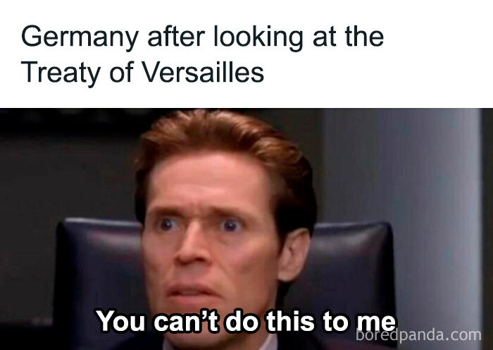 Willem Dafoe shocked face meme illustrating Germany's reaction, related to history memes about learning the past.