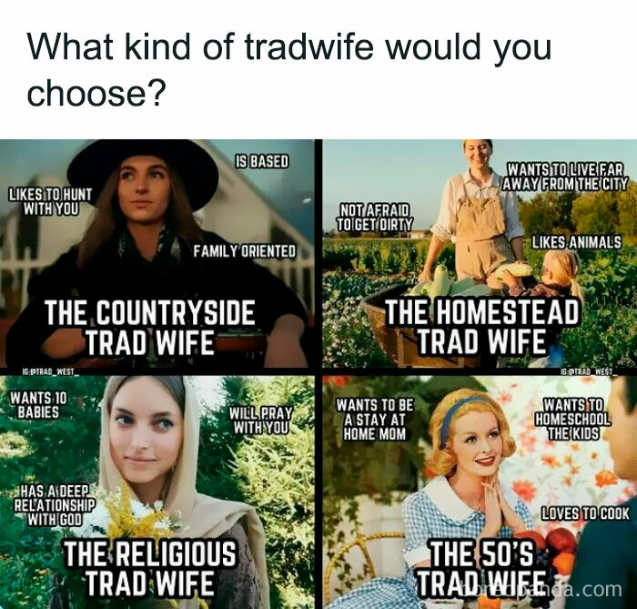 Four types of trad wives shown with traits like family oriented, likes animals, prays, and cooks, highlighting misogynists reality check.