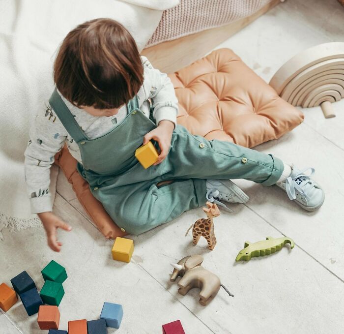 Child playing with colorful blocks and wooden animal toys, exploring the world of people and animals through play.