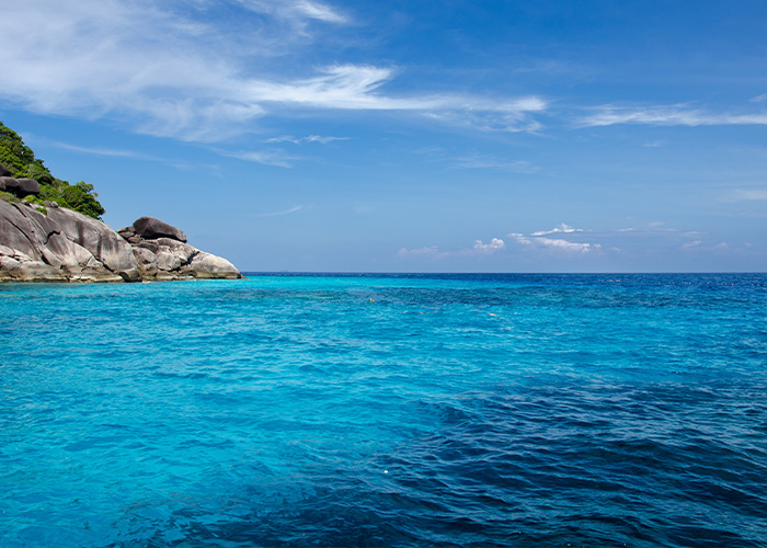 Facts You Probably Wish You Didn’t Know: 40 Disturbing Truths Shared Online