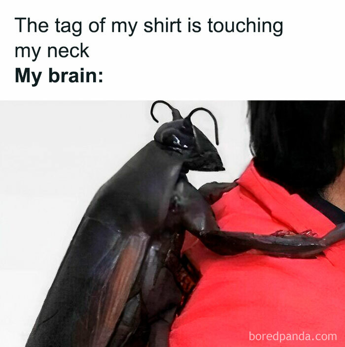 A large black insect crawling on a person's red shirt, illustrating relatable memes about uncomfortable shirt tags.