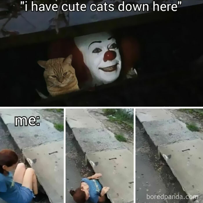 Clown offering cute cats from a drain with a person falling inside, relatable memes for a laugh today.