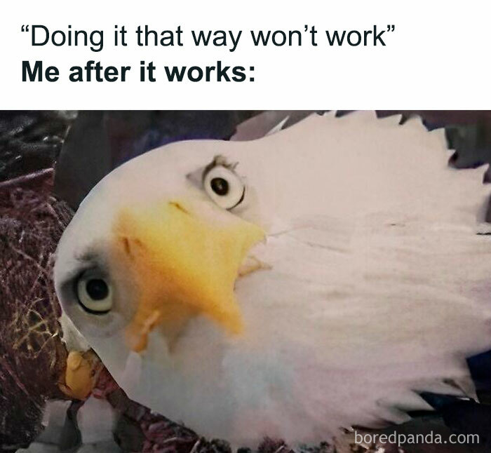 Close-up of a confused-looking bird with meme text about success and relatable memes for a laugh today.