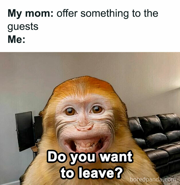 Funny relatable meme with a monkey making a goofy face, captioned asking if guests want to leave.