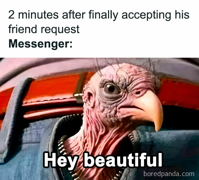 Meme showing a humorous bird character with the caption about Messenger messages, relatable memes for a laugh today.