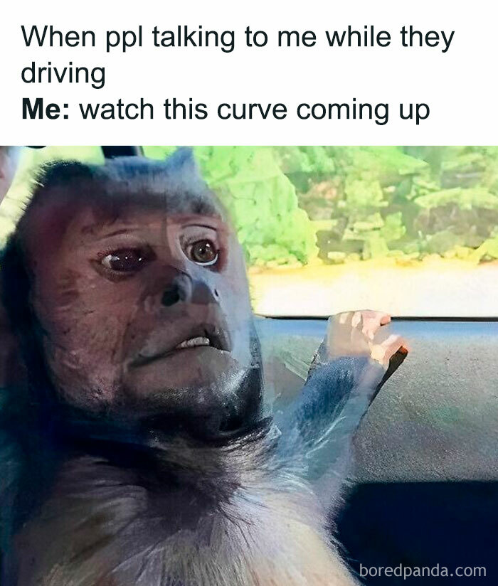 Monkey with a serious face looking out car window, relatable meme about talking while driving and watching curves ahead.