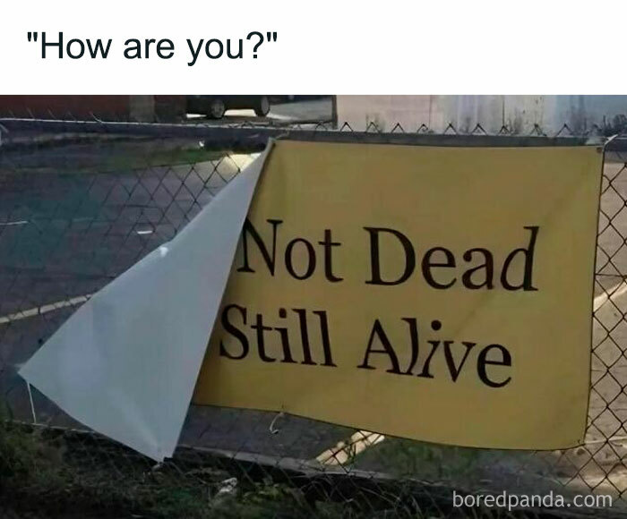Funny relatable meme showing a torn sign on a fence that reads Not Dead Still Alive humorously conveying resilience.