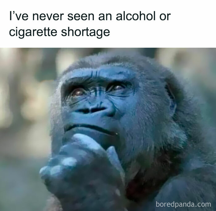 Relatable meme of a thoughtful gorilla with a caption about never seeing an alcohol and cigarette shortage.