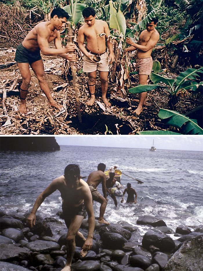 Three men digging in a forest and four men coming ashore from a boat in vintage history photos that look confusing now.