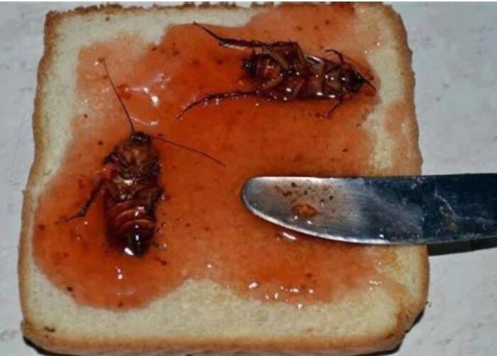 Slice of bread with red jelly and two dead cockroaches, illustrating cursed pictures of food that might cause disgust.