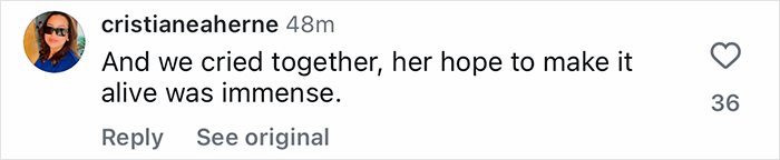 Comment from Cristiane Aherne expressing hope for survival after being trapped inside active volcano.