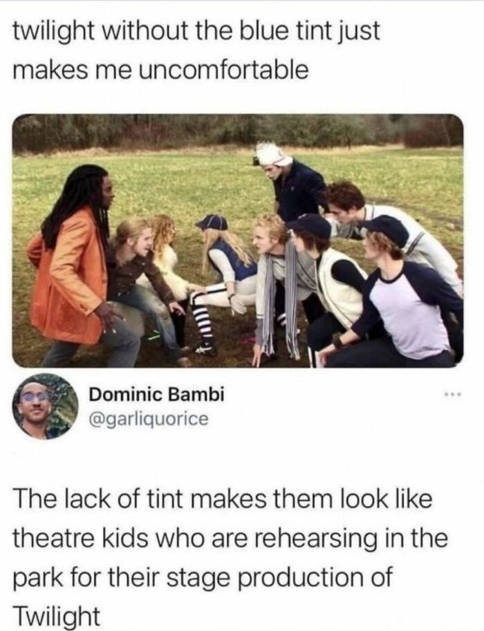 Group of people rehearsing in a park, relatable meme showcasing the awkwardness of Twilight scenes without blue tint.