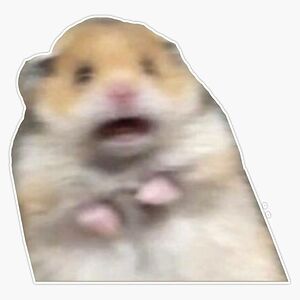 rachelwatford_1 avatar