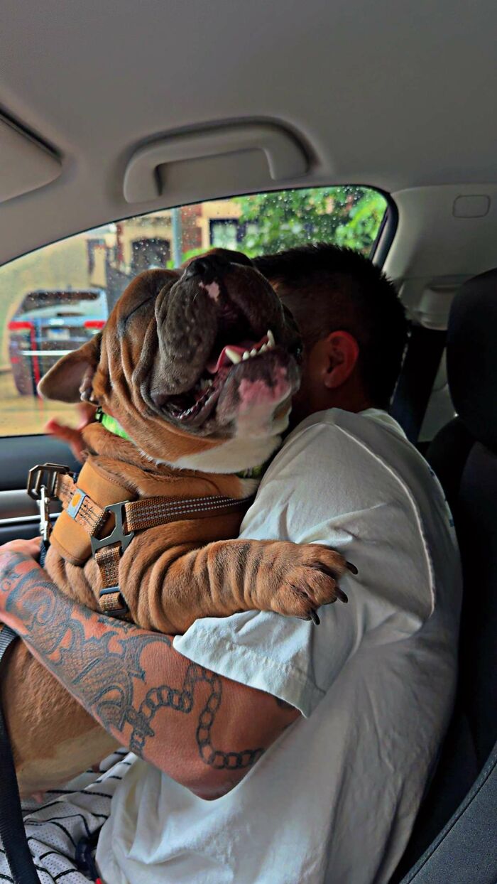 This Rescue Helped A Homeless Man Reunite With His Dog After Her Life-Saving Surgery