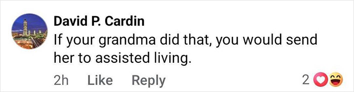 Comment criticizing Jennifer Lopez after revealing her pubic area during concert, expressing disapproval in an online reply.