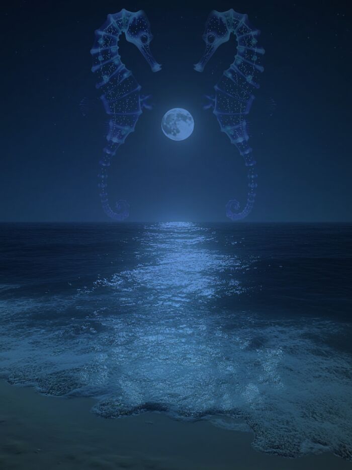 The Silent Love Of The Night