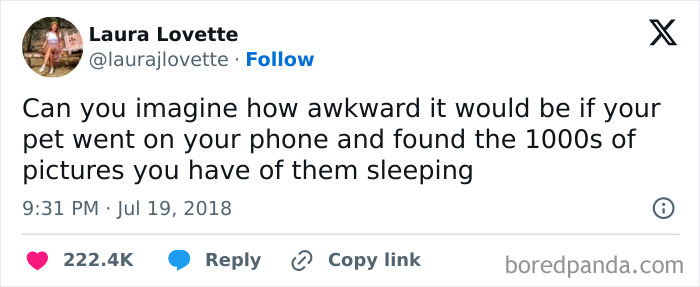 Tweet about the awkwardness pets might feel if they saw thousands of pictures of themselves sleeping, featuring delightful animals.