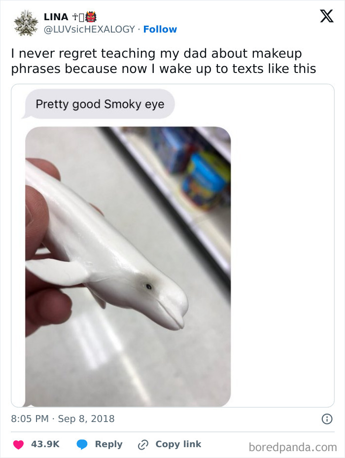 Text message from a dad showing a toy whale and commenting on its smoky eye, a moment that made people go hmmm.