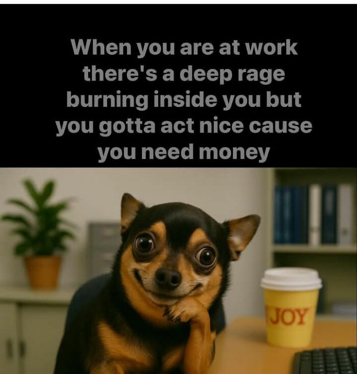 Funny work meme showing a Chihuahua with a forced smile at a desk, expressing deep rage while needing to act nice.