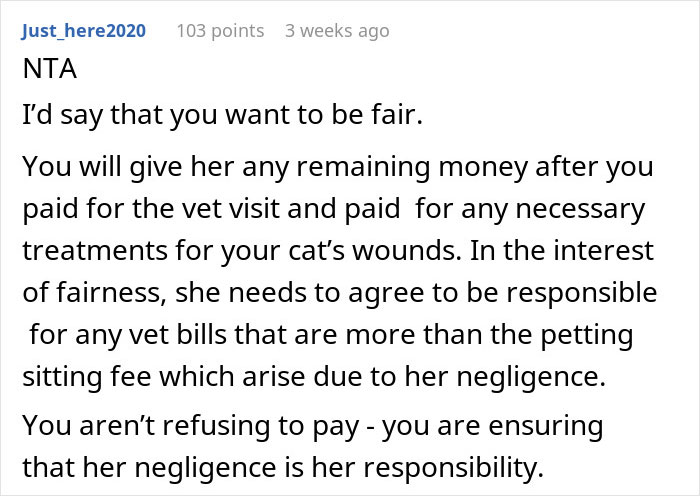 Reddit comment explaining fairness in payment disputes with cat-sitter, focusing on negligence and responsibility for vet bills.