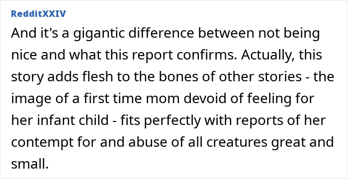 Text excerpt from RedditXXIV discussing Meghan Markle accused of treating her kids like accessories after flight attendant report.