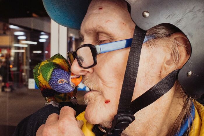 Close-up candid street photo of man wearing helmet and glasses kissing a colorful parrot on his hand.