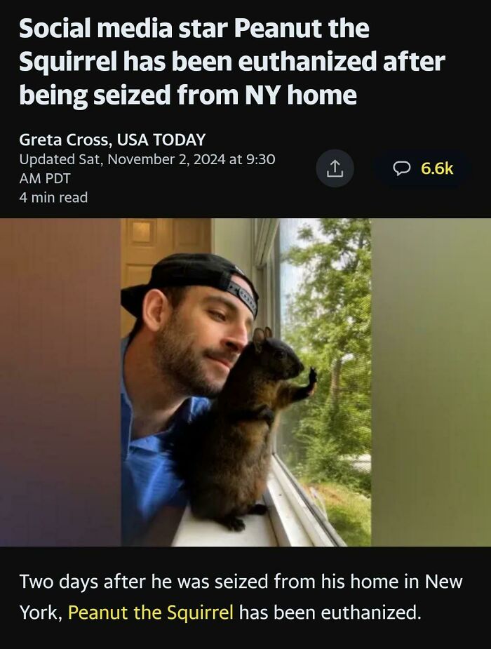 Man looking sadly at Peanut the Squirrel by a window, reflecting on traumatizing the next generation with depressing posts.