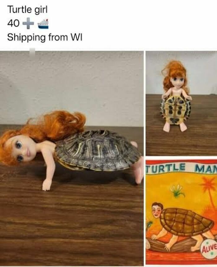 Doll with a real turtle shell as a craft project, showcasing one of many horrible crafts shamed by netizens online.