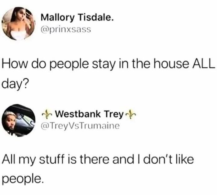 Relatable meme about staying home all day because personal stuff is there and disliking people.