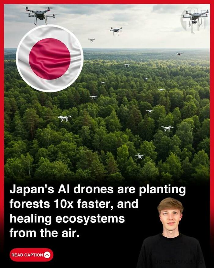 AI drones flying over forests in Japan, planting trees faster and helping heal ecosystems from the air.