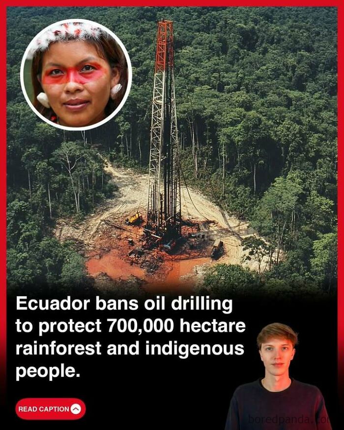 Oil drilling ban in Ecuador protecting rainforest and indigenous people, highlighting important global environmental stories.