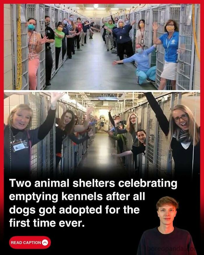Staff at two animal shelters celebrating emptying kennels after all dogs were adopted for the first time ever.