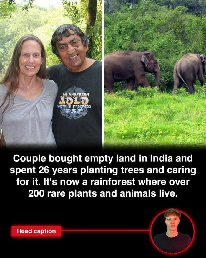 Couple transforming empty land in India into a rainforest, supporting rare plants and animals, inspiring global environmental change.