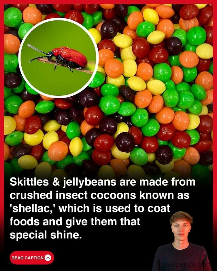 Colorful Skittles and jellybeans coated with shellac made from crushed insect cocoons, a fun fact to satisfy your curious mind.