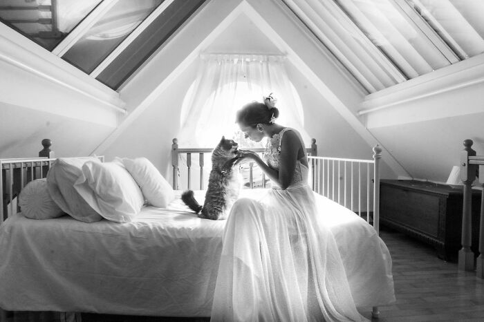 Bride in wedding dress sitting on a bed in an attic room, sharing a tender moment with a cat in unforgettable wedding photos.