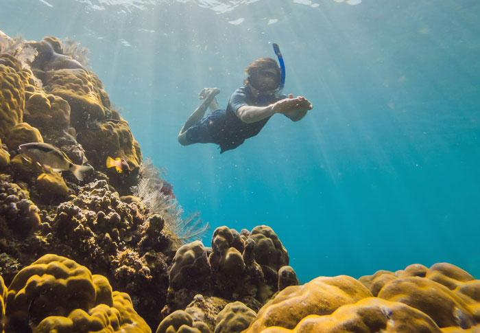 Person snorkeling underwater near coral reef, capturing wild things people say they’ve seen that no one believes.