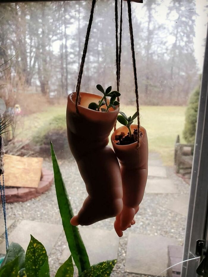 Hanging plant pots made from doll legs with small succulents, an unusual and horrendous DIY project for craft shaming.