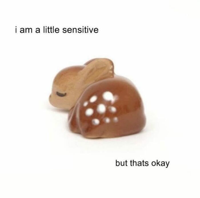 Chocolate shaped like a sleeping deer with text about being a little sensitive, a relatable meme image.