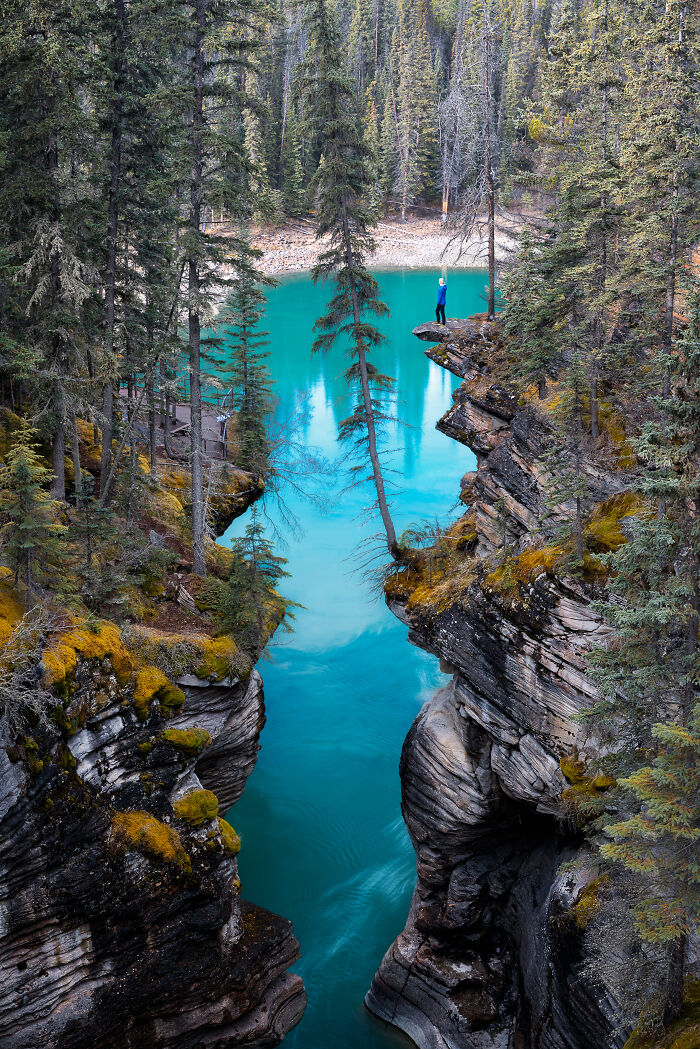 Person standing on rocky cliff above turquoise river surrounded by dense forest in breathtaking travel photo.