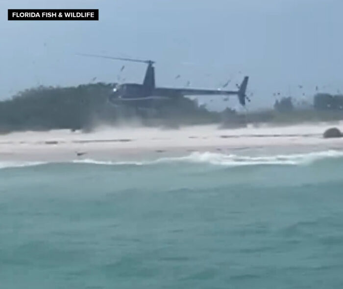 Helicopter flying low over beach and water with wildlife nearby, highlighting traumatizing effects on the next generation.
