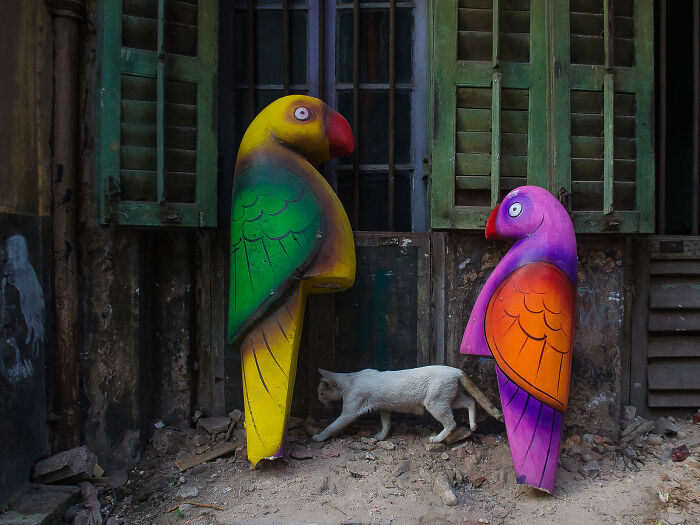 Chasing Colors - The Soul Of Street Photography