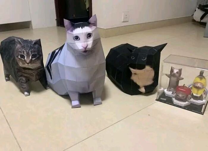 Real cat with two polygonal paper cats and a black paper cat shape, funny memes featuring creative pet art on the floor.
