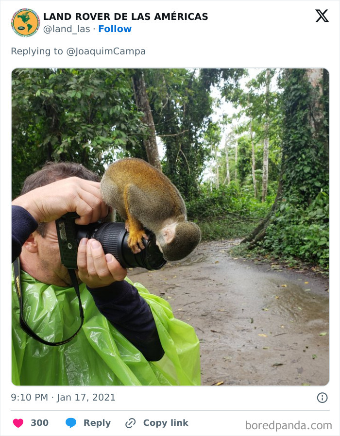 Wildlife photographer outdoors with a curious monkey climbing on his camera lens in a forest setting.