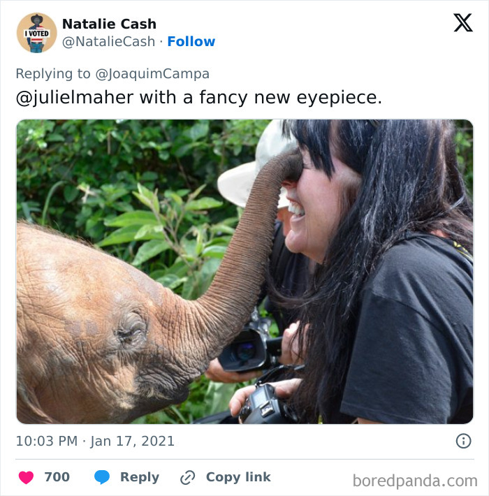 Young elephant playfully touching wildlife photographer's face with its trunk in a lush green outdoor setting.
